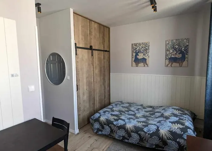 Apartman Centrum Starowki Ogarna