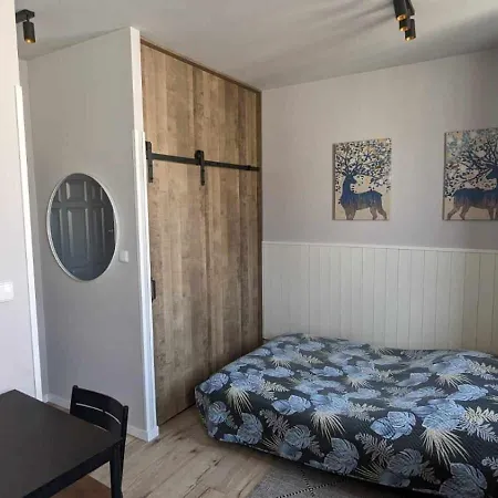 Apartament Centrum Starowki Ogarna