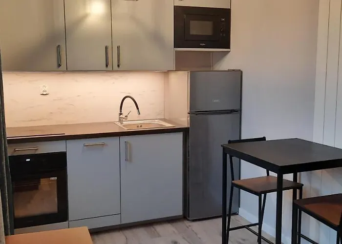 Centrum Starowki Ogarna Appartamento Danzica